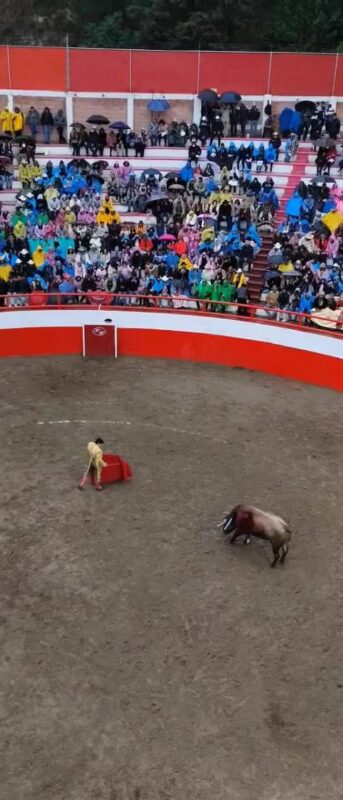 1703894424 Y asi se vive la corrida de toros en la