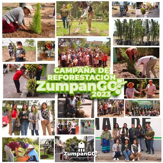 1703902325 Zumpanguenses en la primera fase de nuestra Campana de Reforestacion jpg