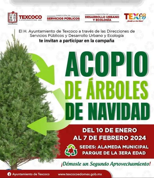 1704330848 Participa en la campana de Acopio de Arboles Navidenos que jpg