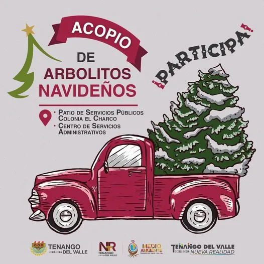 1704511087 ¡No tires tu arbolito de navidad a la basura jpg