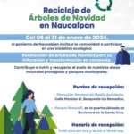 Reciclaje de Árboles de Navidad Del 8 al 31 de