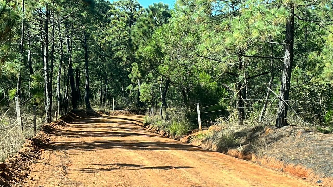 1704706328 889 ¡El Presidente Rigoberto Lopez Rivera mejorando los caminos de Tejupilco