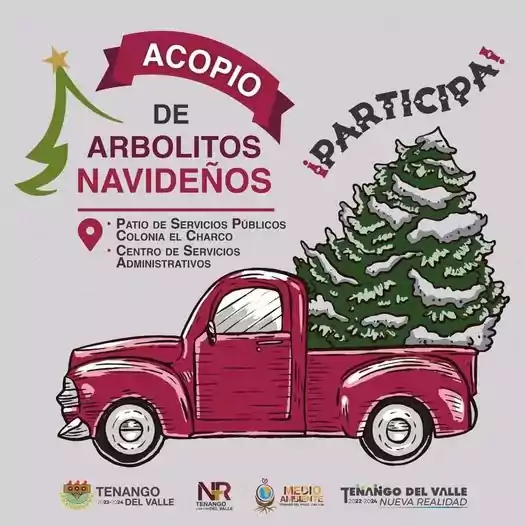 1704759730 ¡No tires tu arbolito de navidad a la basura jpg