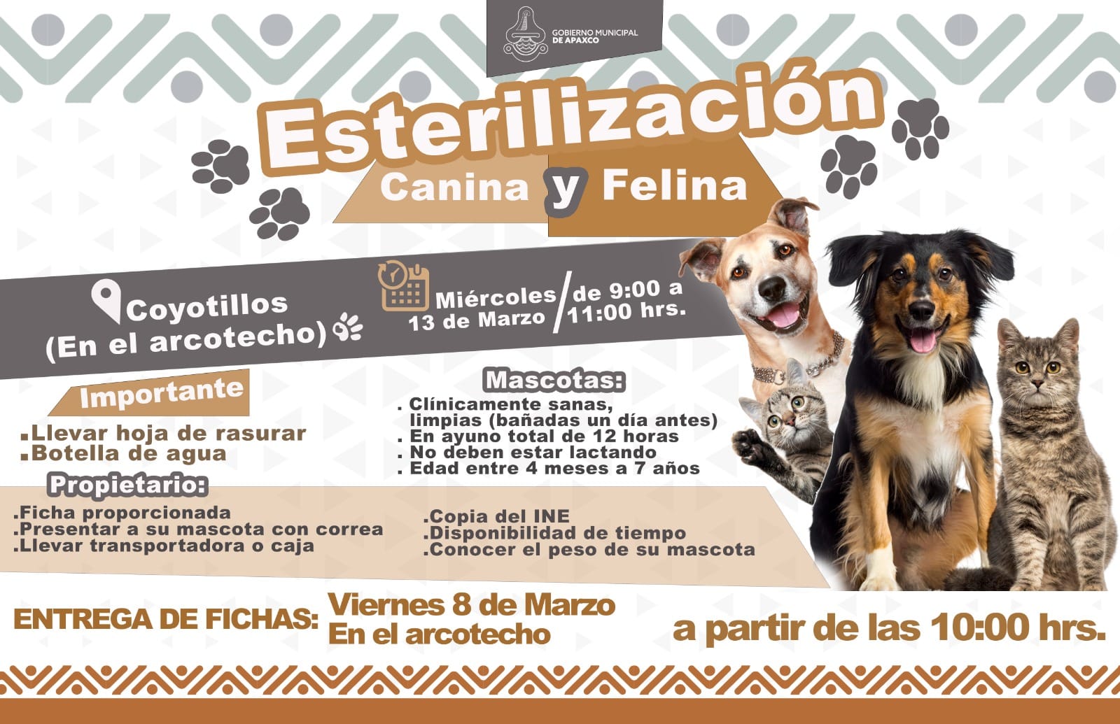 1709655288 861 ESTERILIZACION GRATUITA CANINA Y FELINA