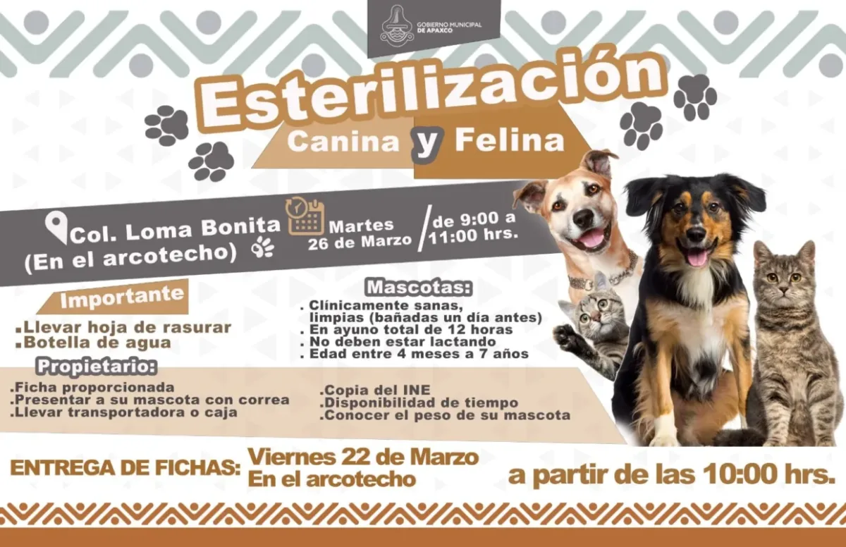 1709655294 ESTERILIZACION GRATUITA CANINA Y FELINA scaled