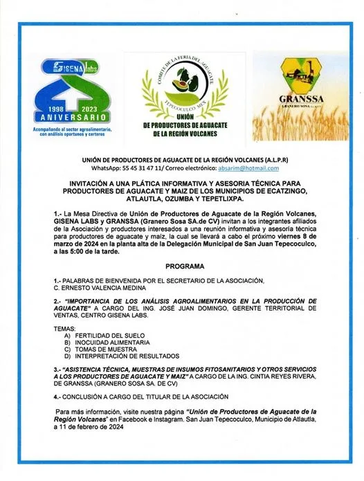 1709673116 LA UNION DE PRODUCTORES DE AGUACATE DE LA REGION VOLCANES jpg