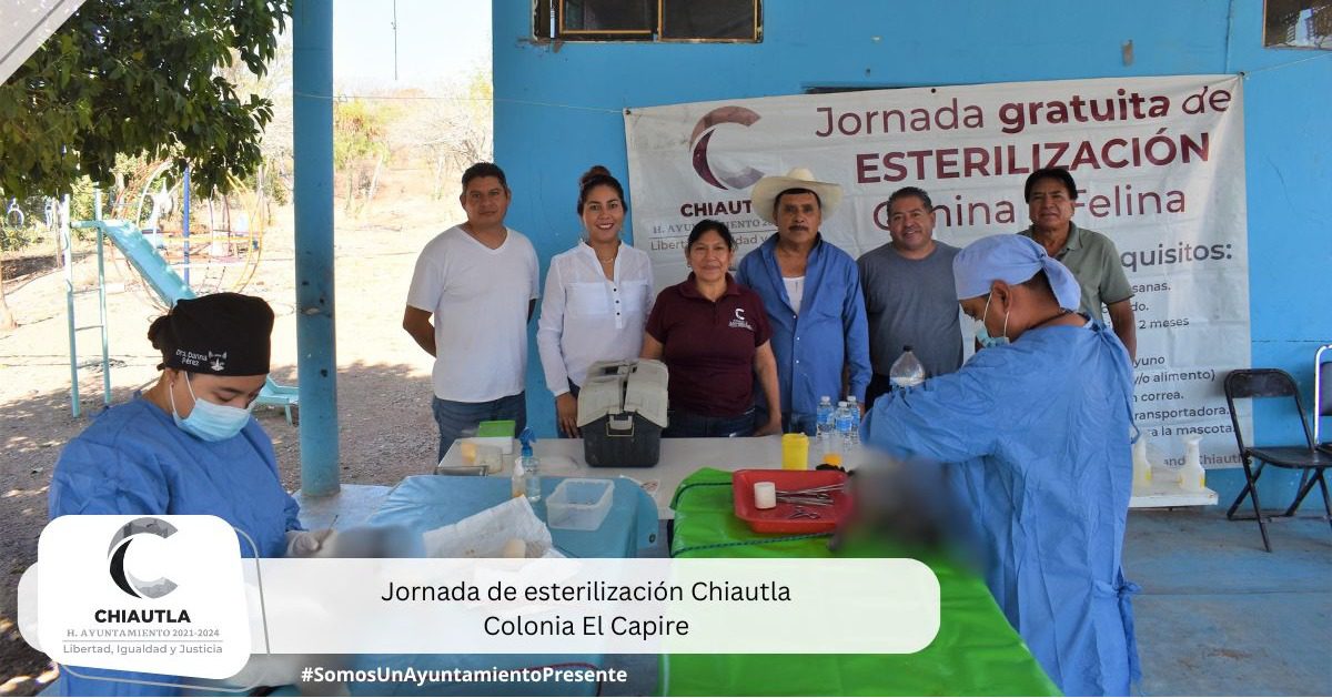 1709690657 206 Manana Esterilizacion en la Colonia Gilberto Bosques Hoy llevamos a