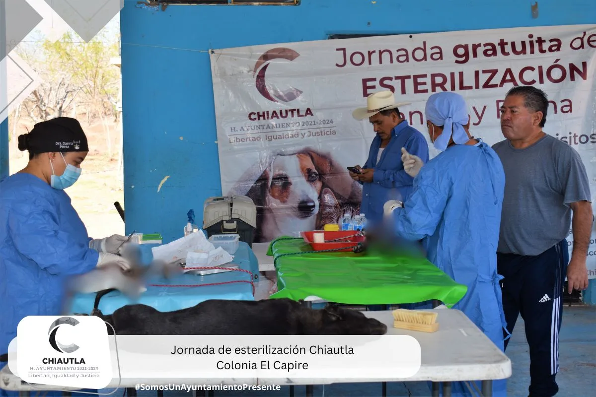 1709690661 Manana Esterilizacion en la Colonia Gilberto Bosques Hoy llevamos a jpg