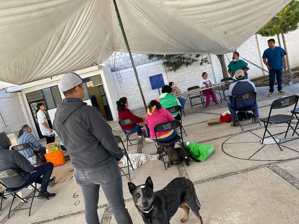 1709705989 82 Jornada de Esterilizacion Canina y Felina en la comunidad de