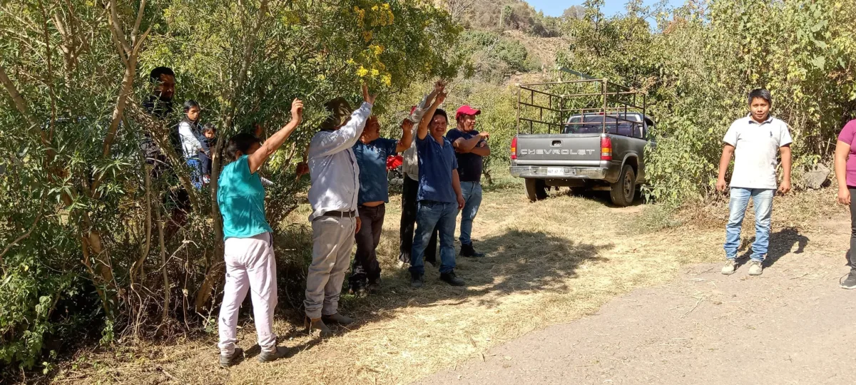 1709726069 684 Se conforma el comite de control y vigilancia COCICOVI Ampliacion