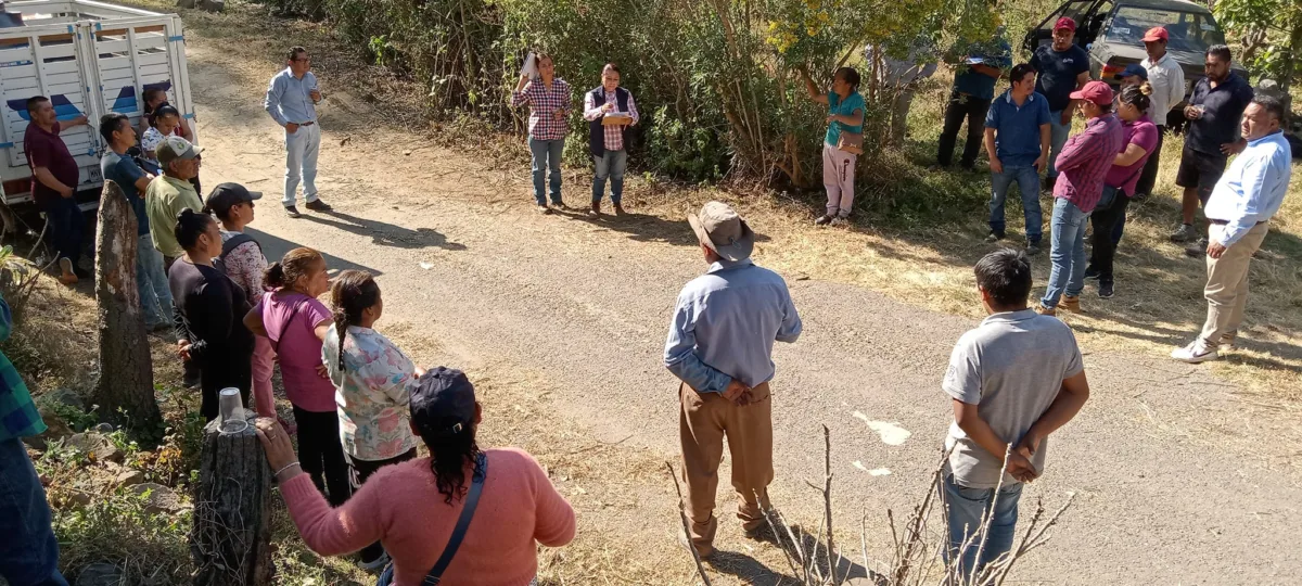 1709726069 995 Se conforma el comite de control y vigilancia COCICOVI Ampliacion