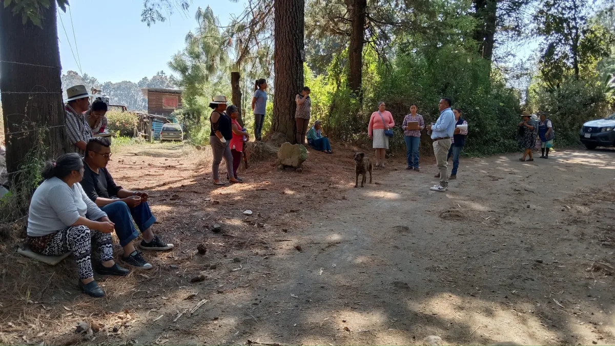 1709744141 Se conforma el comite de control y vigilancia COCICOVI Rehabilitacion