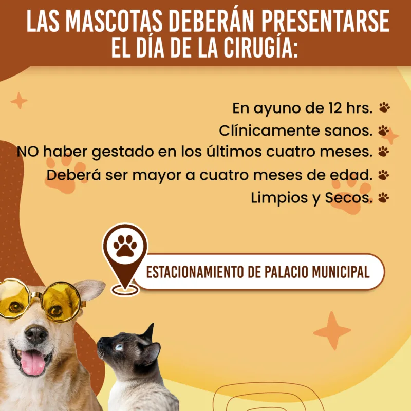 1709764351 544 ¡Se un dueno responsable Participa en la Jornada de Esterilizacion