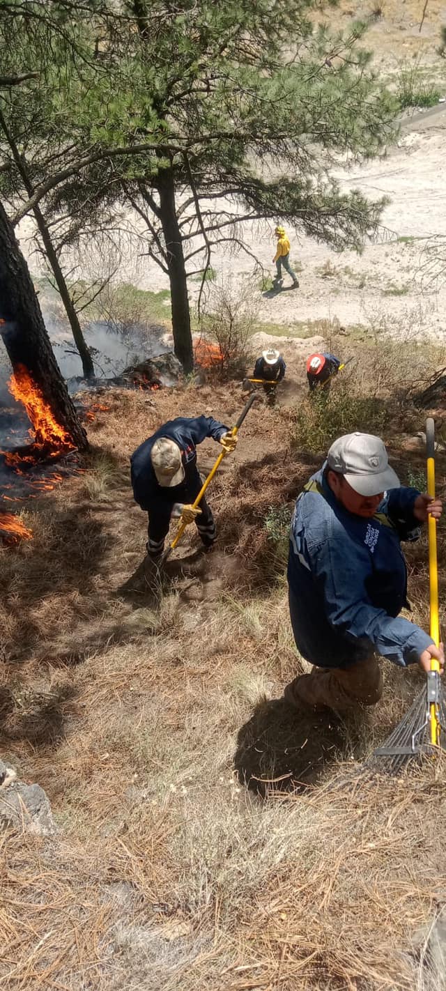 1709794756 821 El dia de hoy la brigada forestal de la Direccion