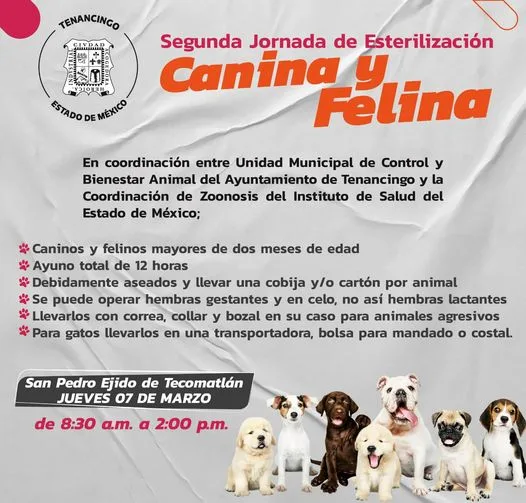 1709812940 BienestarAnimal Te invitamos a seguir cuidado de los animales jpg