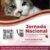 La Jornada Nacional de Vacunación Antirrábica Canina y Felina llega a Ixtapaluca