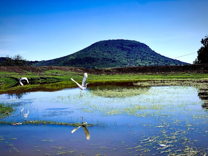 Buenos dias Temascalapa empecemos con este bello paisaje de la