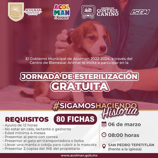 Jornada Esterilizacion Mascotas en San Pedro Tepetitlan