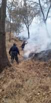 Seguridad Pública y Protección Civil atienden incendio en Boshesda Combatir