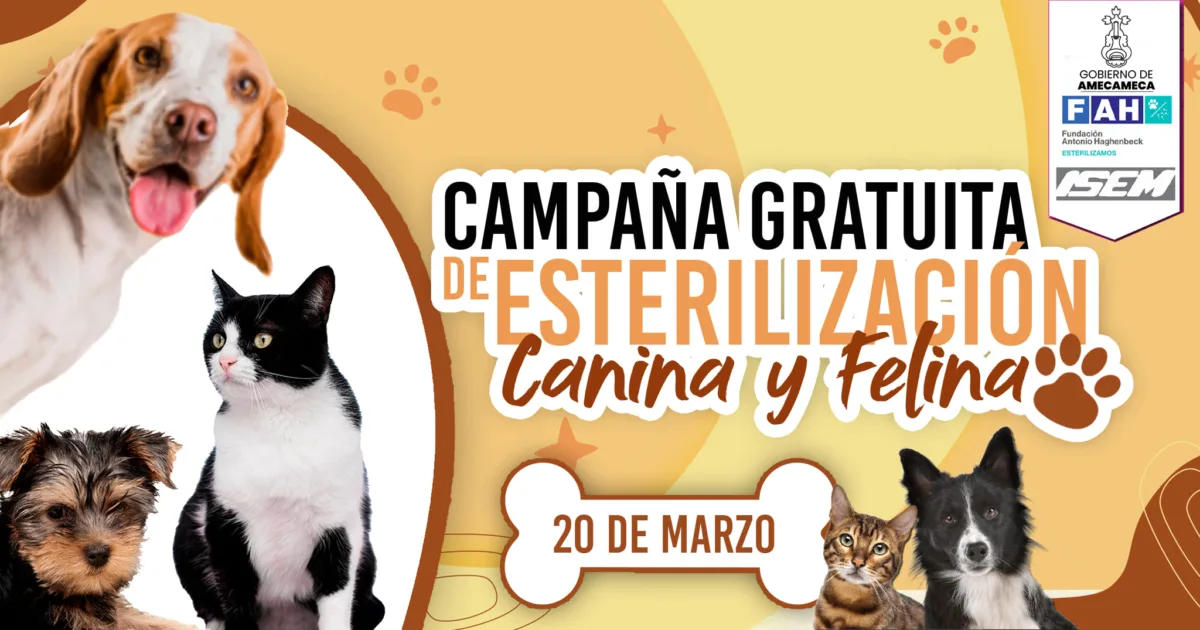 ¡Se un dueno responsable Participa en la Jornada de Esterilizacion