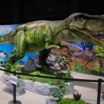 En #Amecameca visita y recorre el Museo de Historia Natural