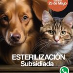 Comparte para que muchas mascotas sean beneficiadas con la #Esterilización