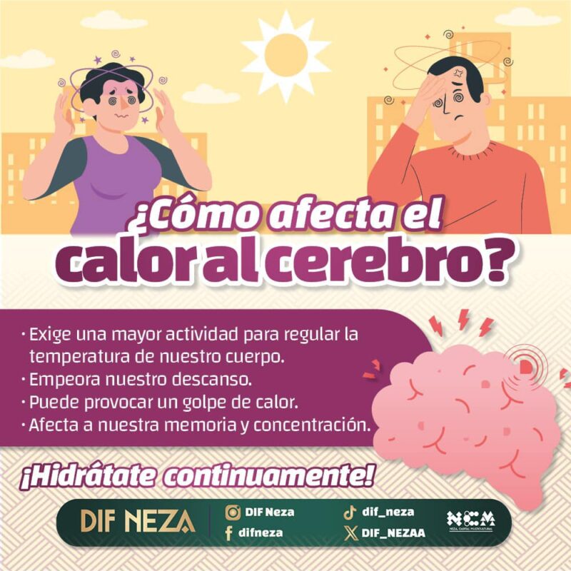 DIF Neza | ¡El calor afecta más de lo que crees! Nuestro cerebro es especialme