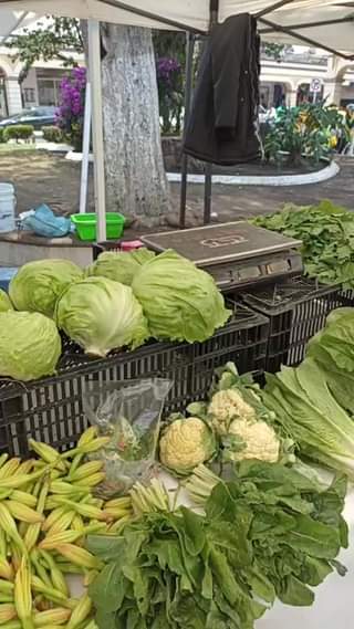 #EnVivo || El Día del Agricultor se vive en grande en el Mercado Ocelotl